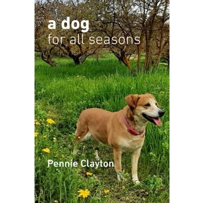 Abbildung von A dog For All Seasons: How to keep your healthy and happy throughout the year