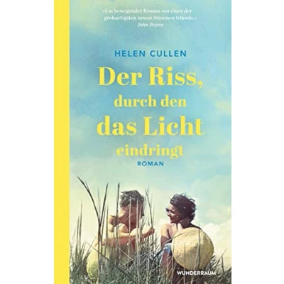 Abbildung von Der Riss, durch den das Licht eindringt: Roman