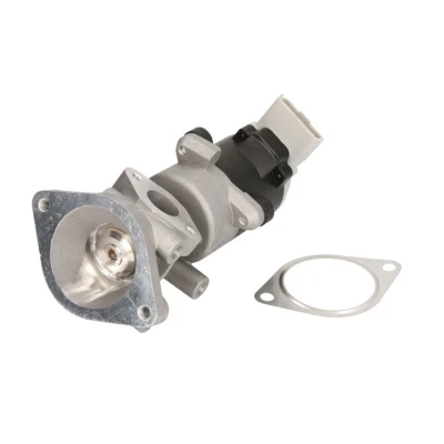 Abbildung von MAGNETI MARELLI 571822112032 AGR Ventil LAND ROVER: Discovery 3, Range Rover Sport