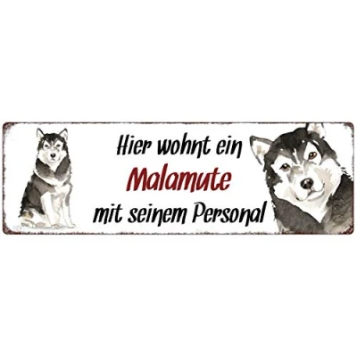 Abbildung von Interluxe Metallschild Hier wohnt EIN Malamute dekoratives Schild, Türschild, Blechschild als Geschenk für Menschen mit Hund