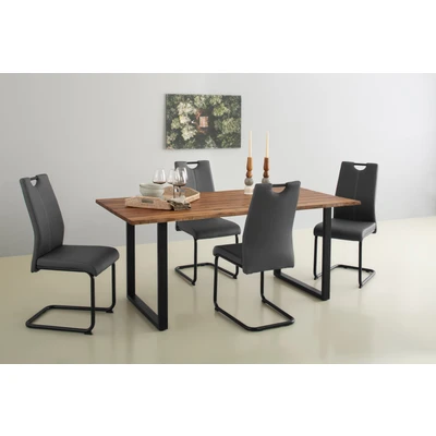 Abbildung von Home affaire Freischwinger &quot;CORA&quot;, (Set), 2 St., Tragegriff in schwarz