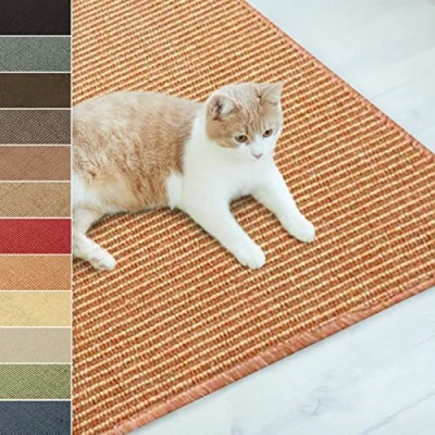Abbildung von Floordirekt Sisal Fußmatte Teppich Vorleger Kratzteppich Katzenmöbel Kratzmatte Sisalmatte, widerstandsfähig &amp; in vielen Farben und Größen erhältlich (40 x 60 cm, Terra)