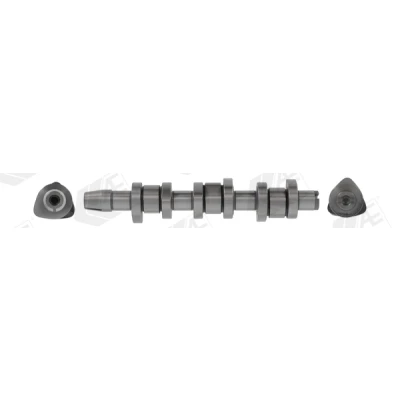 Abbildung von AE CAM1010 Nockenwelle VOLKSWAGEN: Lupo / 3L