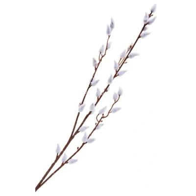 Abbildung von Kunstblume Weidenkätzchen, DPI, 1 Zweig