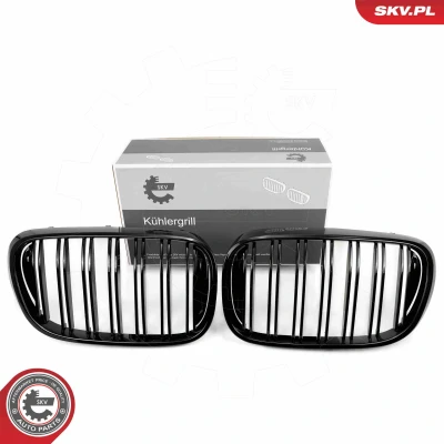 Abbildung von ESEN SKV 66SKV223 Kühlergrill schwarz, glänzend BMW: 3 Limousine, Touring, Compact