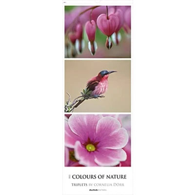 Abbildung von Colours of Nature Triplets 2022 Streifenkalender XXL 25x69 cm Bildkalender im Hochformat Naturkalender Wandkalender Wandplaner: Streifen Wand Kalender