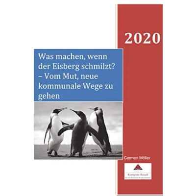 Abbildung von Was machen, wenn der Eisberg schmilzt?: Vom Mut, neue kommunale Wege zu gehen