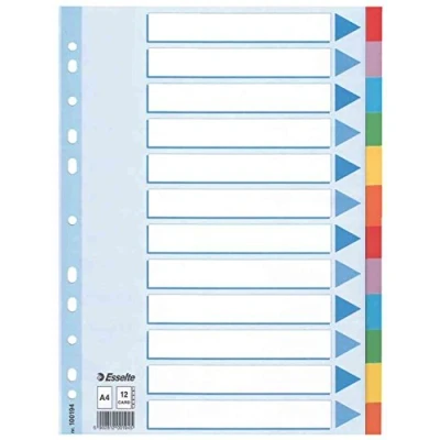 Abbildung von Leitz Esselte Register für A4, Deckblatt und 12 Trennblätter mit Taben, Blau/Mehrfarbig, Recyclingkarton, 100194