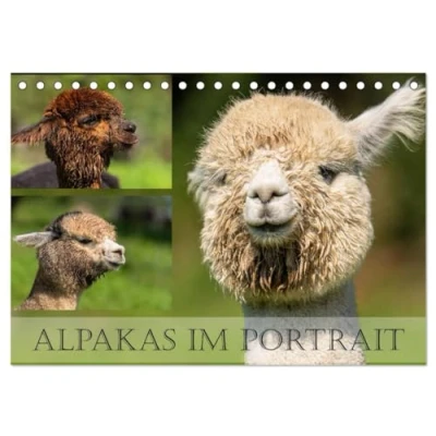 Abbildung von Alpakas im Portrait (Tischkalender 2025 DIN A5 quer), CALVENDO Monatskalender