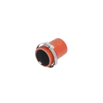 Abbildung von THERMOTEC DCG174TTS Ladeluftschlauch FORD: MONDEO 4 Turnier, FOCUS 3