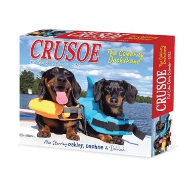 Abbildung von Crusoe the Celebrity Dachshund 2025 6.2 X 5.4 Box Calendar