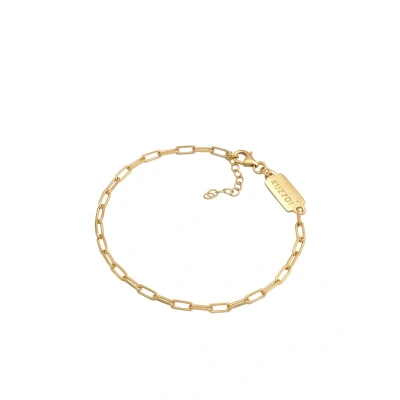 Abbildung von Kuzzoi Basic Chain LOOK Armband goldcoloured, Herren, Größe: 19, Gold coloured