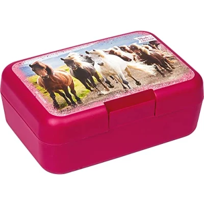 Abbildung von Horse Friends Lunchbox
