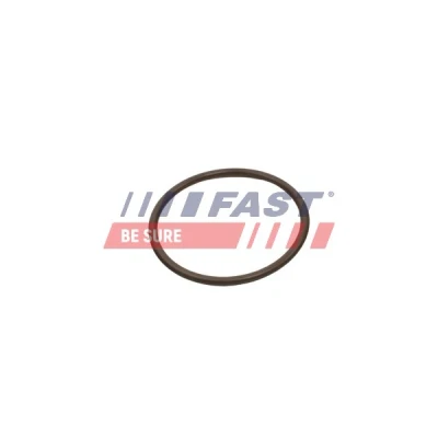 Abbildung von FAST FT49933 Dichtring, Ladeluftschlauch
