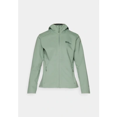 Abbildung von Jack Wolfskin BORNBERG HOODY W