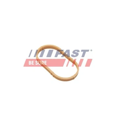 Abbildung von FAST FT49461 Ansaugkrümmerdichtung Eingang FPM (Fluor Kautschuk) RENAULT: ESPACE 4, CLIO 2, Kangoo I, DACIA: Duster SUV, Logan I MCV