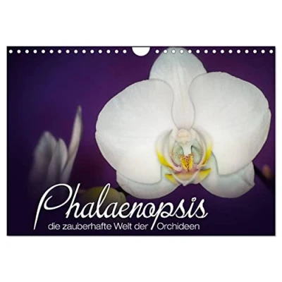 Abbildung von Phalaenopsis die zauberhafte Welt der Orchideen (Wandkalender 2025 DIN A4 quer), CALVENDO Monatskalender
