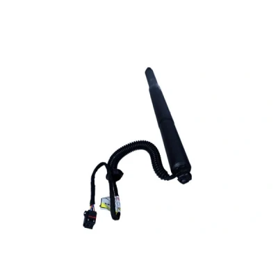 Abbildung von MAXGEAR 12 2555 Gasfeder, Einlegeboden (Koffer / Laderaum)