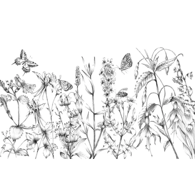 Abbildung von Komar Vliestapete &quot;Butterfly Field&quot;, 400x250 cm (Breite x Höhe)
