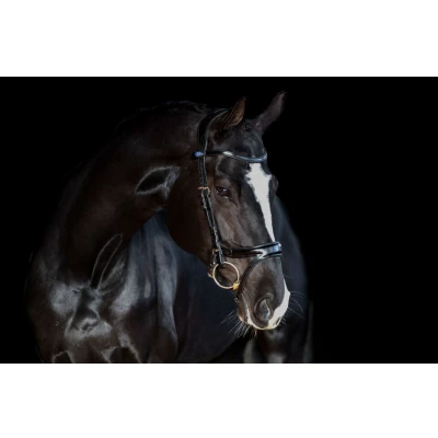 Abbildung von PS of Sweden Zaum Jump Off Schwarz Warmblut