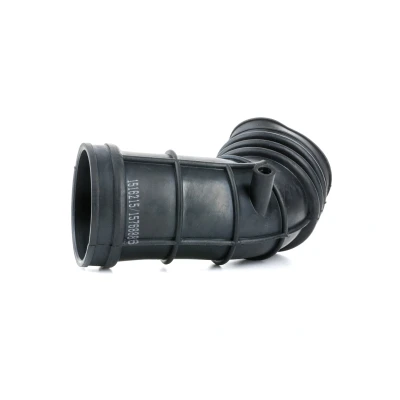 Abbildung von RIDEX 1591I0020 Ansaugschlauch, Luftfilter 246 BMW: 3 Coupe, Touring, Compact