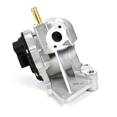 Abbildung von DELPHI EG10424 12B1 AGR Ventil mit Dichtungen AUDI: A3 Sportback, SEAT: Leon II Schrägheck, SKODA: Octavia Schrägheck