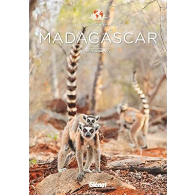 Abbildung von Madagascar Les clés pour bien voyager