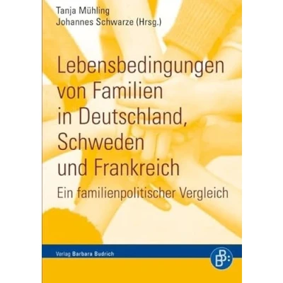 Abbildung von Lebensbedingungen von Familien in Deutschland, Schweden und Frankreich: Ein familienpolitischer Vergleich
