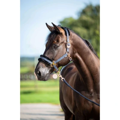 Abbildung von HB Halfter Showtime Pioneer Schwarz Pony Agradi.deVerkauft von Agradi
