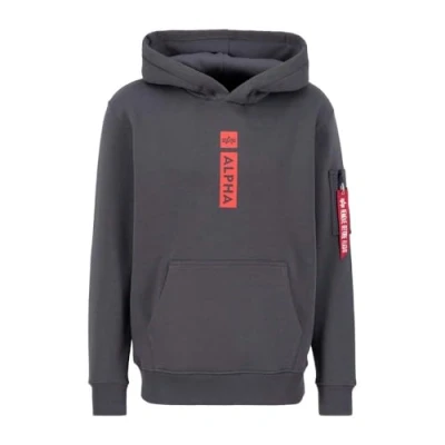 Abbildung von Alpha Industries Hoody Kapuzenpullover, Herren, Größe: 3XL, Vintage grey