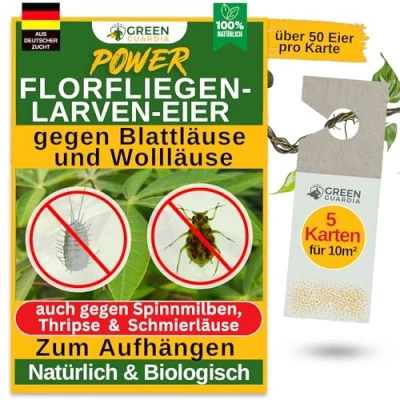 Abbildung von GREEN GUARDIA Insektenvernichter Florfliegenlarven Eier gegen Blattläuse und Wollläuse ohne Chemie, effektive umweltfreundliche Alternative Schädlinge zu bekämpfen