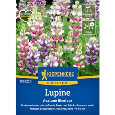Abbildung von Kiepenkerl Profi Line Lupinensamen Avalune Bicolour 1063220 bodenverbessernde, duftende Beet und Schnittblume Wildblumensamen, Blumenwiese, Saatgut