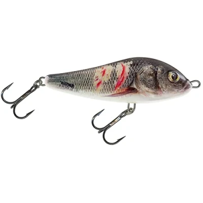 Abbildung von Salmo Rattlin Slider 11cm S SUPERNATURAL WOUNDED DACE Jerkbait