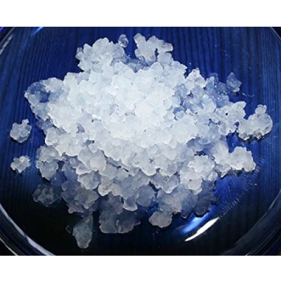 Abbildung von 100g Wasserkefir Pilz / Japankristalle + Anleitung Rezepte Hilfe und Beratung in Deutsch KEFIRALIA®