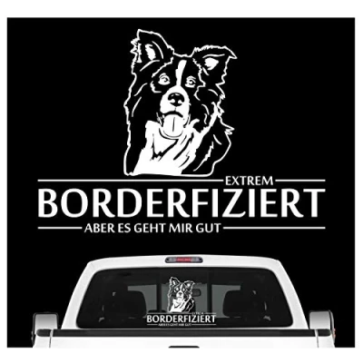 Abbildung von siviwonder Auto Aufkleber Border Collie Hund INFIZIERT Hundeaufkleber 30cm White