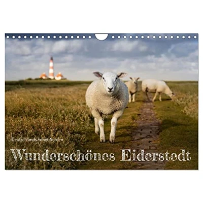 Abbildung von Wunderschönes Eiderstedt (Wandkalender 2025 DIN A4 quer), CALVENDO Monatskalender