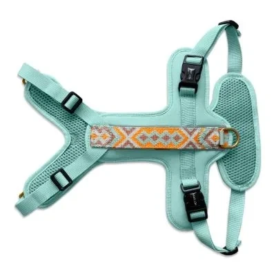 Abbildung von Premium Hundegeschirr Gepolstert mit Reflektoren und Haltegriff XS / Mint Orange