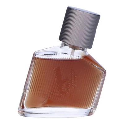 Abbildung von bruno banani Magnetic Man Eau de Toilette, fesselnd holziger Amberduft für Herren, 30ml