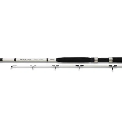 Abbildung von Shimano Vengeance AX Boat 240H
