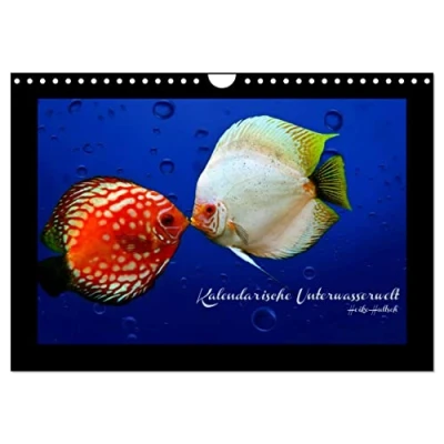 Abbildung von Kalendarische Unterwasserwelt (Wandkalender 2025 DIN A4 quer), CALVENDO Monatskalender
