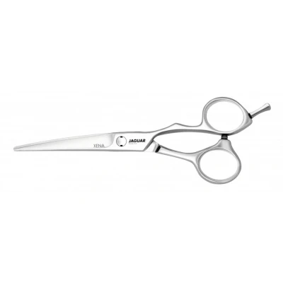 Abbildung von Jaguar Schneideschere Scissors Silver Line Xena 5.5