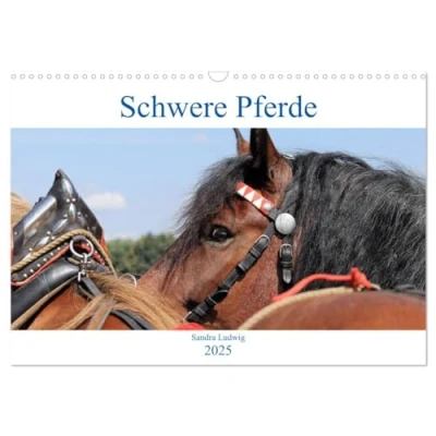 Abbildung von Schwere Pferde 2025 (Wandkalender DIN A3 quer), CALVENDO Monatskalender