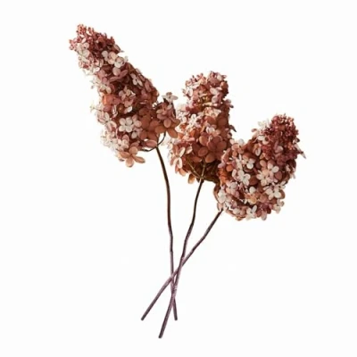 Abbildung von Loberon Deko Blume 3er Set Ylvi, Naturgetreue Hortensien Anmutung, Handgefertigt, Üppig &amp; Langlebend, Kunstblumen, Dekoration, Eisendraht, Polyethylen, Polyester, bunt