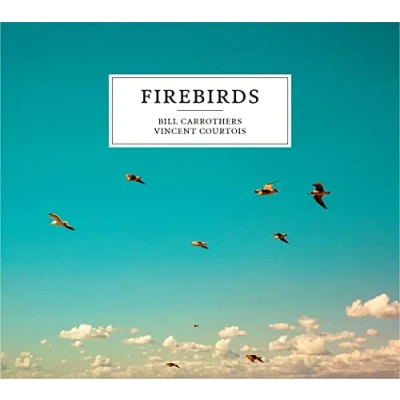 Abbildung von Firebirds
