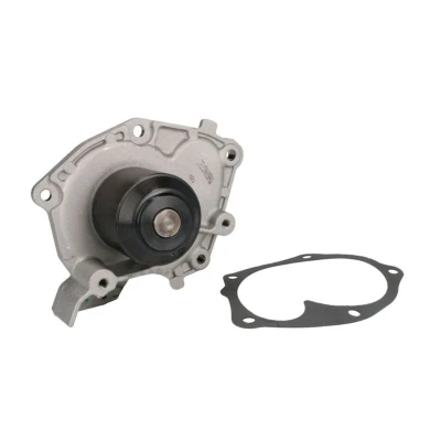 Abbildung von THERMOTEC D11073TT Wasserpumpe mit Dichtung mechanisch RENAULT: GRAND SCENIC 2, MEGANE 2 Kombi, NISSAN: Primera Kombi