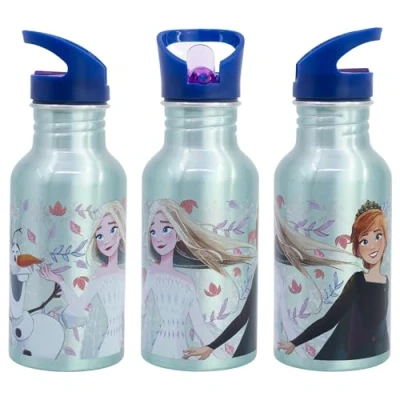 Abbildung von Disney Die Eiskönigin Aluminium Trinkflasche 545ml, Grün