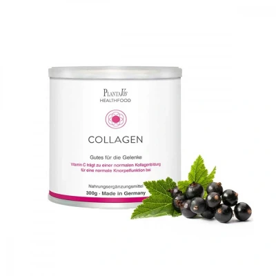 Abbildung von Collagen Gutes für die Gelenke Pulver