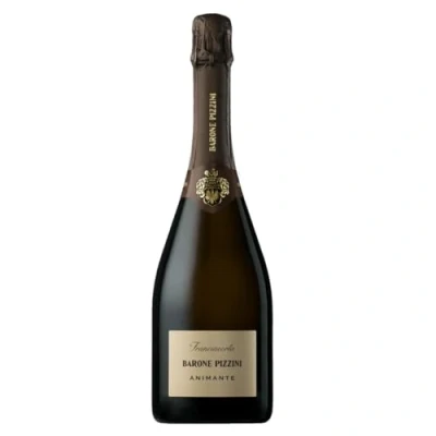Abbildung von Sparkling Wine Franciacorta Brut Animante 75cl x 1