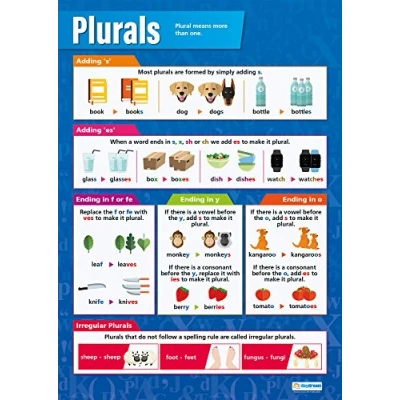 Abbildung von Poster mit englischer Aufschrift „Plurals“, glänzendes Papier, 850 mm x 594 (A1), Sprachposter für Klassenzimmer, Lehrtafeln von Daydream Education