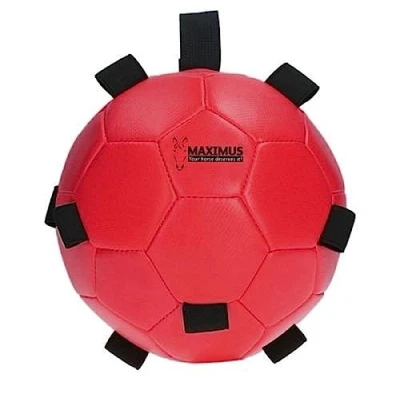 Abbildung von Maximus Lustiger Spielball Blau 19 Rot